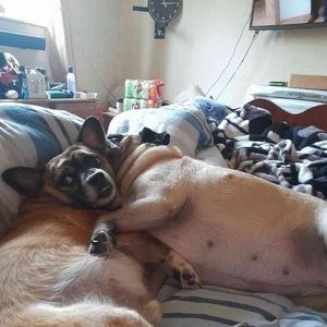 Meet your Posher, Jan